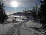 Planina Zajavornik - Debela peč